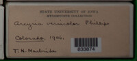 Image Associated With the Occurence